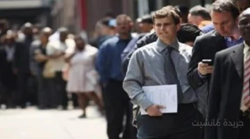 قرار جديد.. خطوات تجديد منحة البطالة في الجزائر 2025 وشروط أساسية لاستمرار الدعم 1